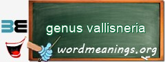 WordMeaning blackboard for genus vallisneria